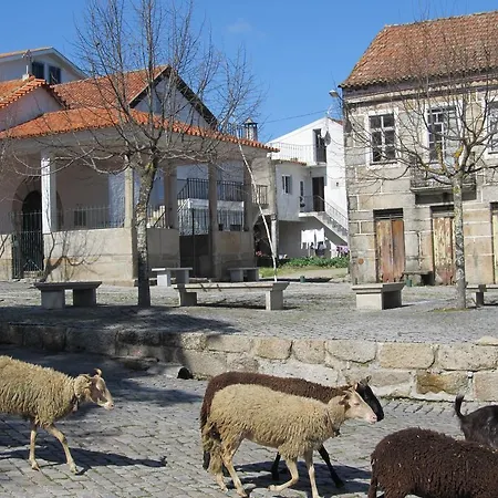 Tatil Evi Casa Do Chao Do Ribeiro Gouveia (Guarda)