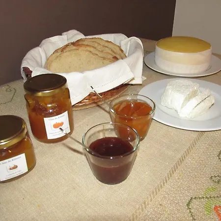 Casa Do Chao Do Ribeiro Semesterbostad