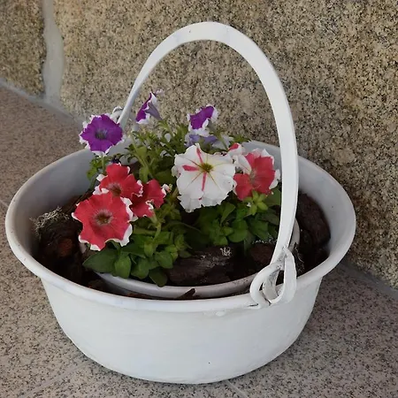 Tatil Evi Casa Do Chao Do Ribeiro Gouveia (Guarda)