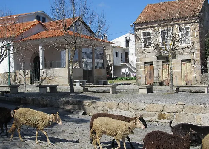 度假居 Casa Do Chao Do Ribeiro 戈韦阿