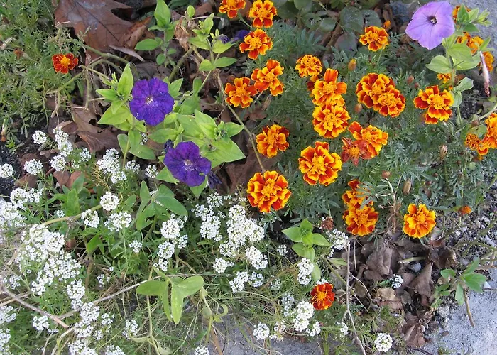 Casa Do Chao Do Ribeiro 戈韦阿